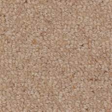 100% Woolen Carpets