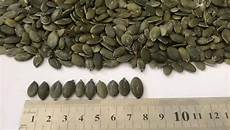 8.5Mm Pumpkin Seeds