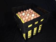 Chicken Transport Crates