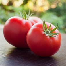 Determinate Tomato Seeds