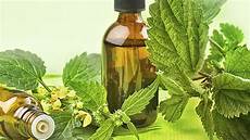 Herbal ınfusions