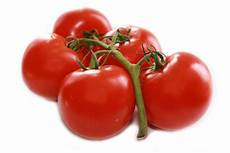 Indeterminate Tomato Seeds