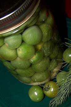 Olive For Pickling