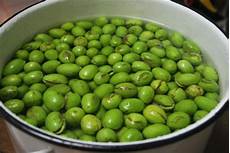 Olives For Pickling