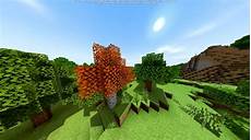 Orange Seedlings