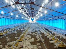 Poultry Husbandry Equipments