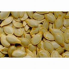 Pumpkin Seed Grown Without Shell
