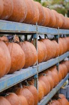Pumpkin Seed Storage Seperation Machine