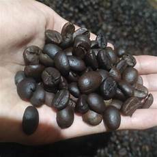 Robusha Coffee Bean