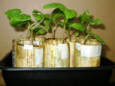Seedling Containers