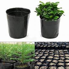 Seedling Containers