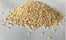 Sesame Seed Processing Machineries