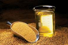 Soyabean Seed Oil