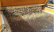 Sunflower Seed Cleaning With Silos