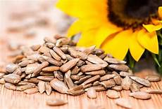 Sunflower Seed Meal