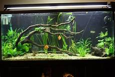 Aquarium Equipments