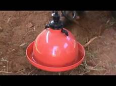 Automatic Drinking Bowl System