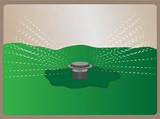 Automatic Drinking Bowl System