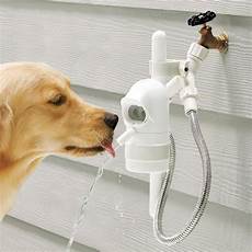 Automatic Drinking Bowl System