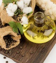 Cotton Seed Oil