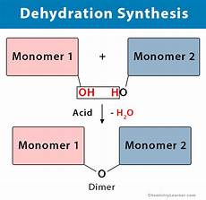 Dimer Acid
