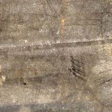 Elaborated Carpets
