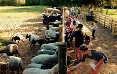 Feeding Equipments