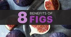 Fig Seed Oil