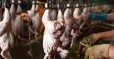 Food Handling Equipment