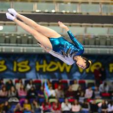 Gymnastics Equipments