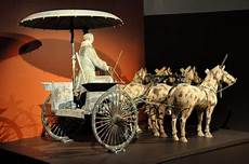 Horse Transport Vehicle