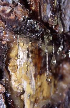 Hydrocarbons