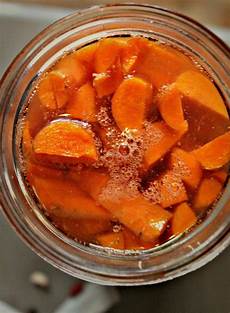 Organic Fermented Carrot Juice