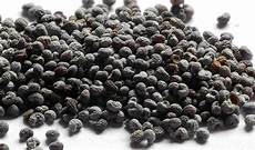 Poppy Seeds