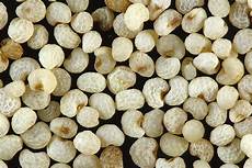 Poppy Seeds