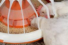 Poultry Equipment