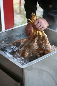 Poultry Equipment