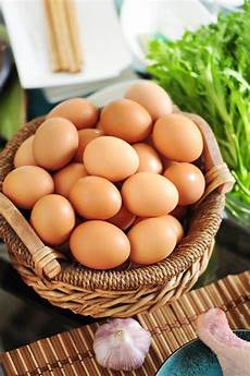 Poultry Equipment