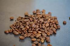 Robusta Coffee Beans