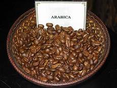 Robusta Coffee Beans