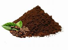 Robusta Coffee Beans