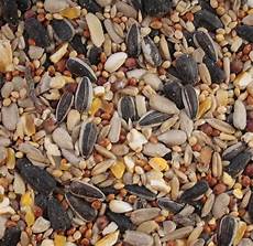 Seed Trays