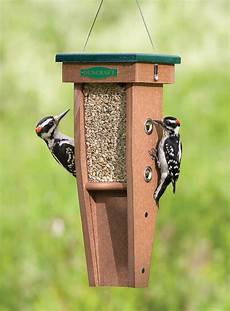 Seed Trays