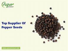 Sesame Products
