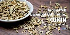 Vegetable Oils
