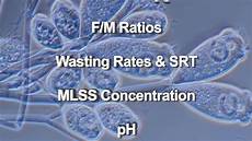 Wastewater Treatment System