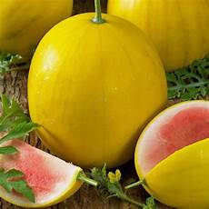 Water Melon Seeds