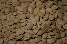 Water Melon Seeds